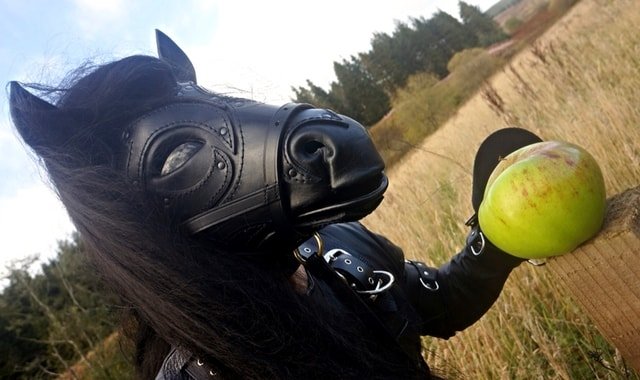 Pony Play and Ponyboy in a field with an apple.