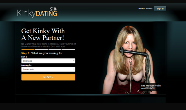 kinkydatingsite review screenshot of front cover 